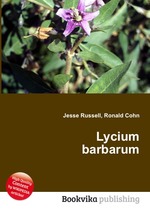 Lycium barbarum