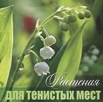 Растения для тенистых мест