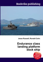 Endurance class landing platform dock ship