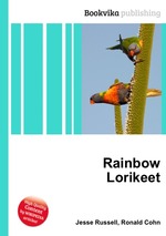 Rainbow Lorikeet