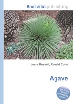 Agave