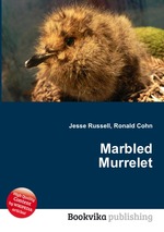 Marbled Murrelet