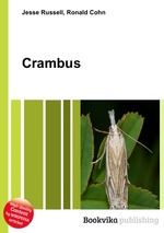 Crambus