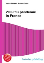 2009 flu pandemic in France