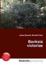 Banksia victoriae