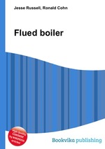 Flued boiler