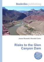 Risks to the Glen Canyon Dam