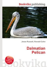 Dalmatian Pelican