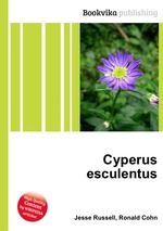 Cyperus esculentus