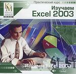 Практический курс: Изучаем Excel 2003