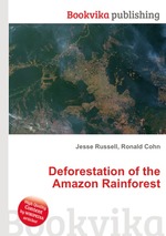 Deforestation of the Amazon Rainforest