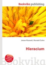 Hieracium