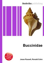 Buccinidae