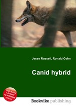 Canid hybrid