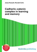 Cadherin–catenin complex in learning and memory
