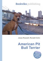 American Pit Bull Terrier