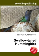 Swallow-tailed Hummingbird