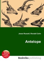 Antelope