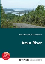 Amur River