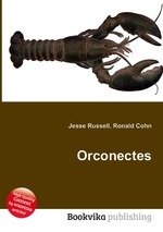 Orconectes