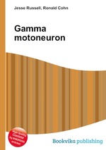 Gamma motoneuron