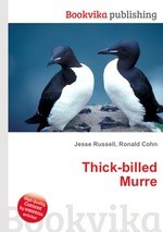 Thick-billed Murre