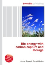 Bio-energy with carbon capture and storage