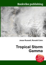 Tropical Storm Gamma