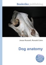 Dog anatomy