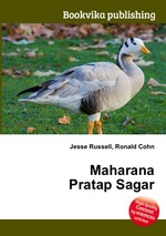 Maharana Pratap Sagar
