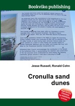 Cronulla sand dunes