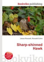 Sharp-shinned Hawk