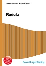 Radula