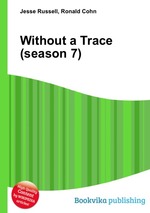Without a Trace (season 7)