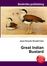 Great Indian Bustard