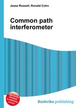 Common path interferometer