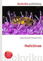 Halictinae