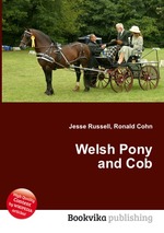 Welsh Pony and Cob