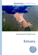 Estuary