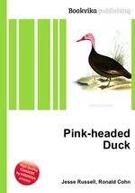 Pink-headed Duck