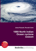 1989 North Indian Ocean cyclone season