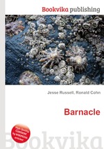 Barnacle