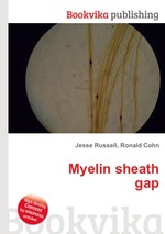 Myelin sheath gap