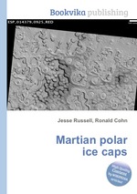 Martian polar ice caps