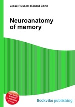 Neuroanatomy of memory