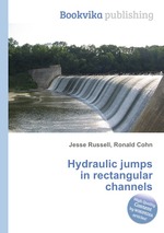 Hydraulic jumps in rectangular channels