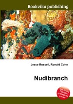 Nudibranch