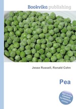 Pea