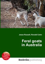 Feral goats in Australia