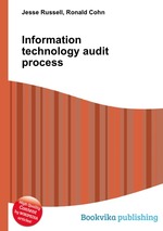 Information technology audit process